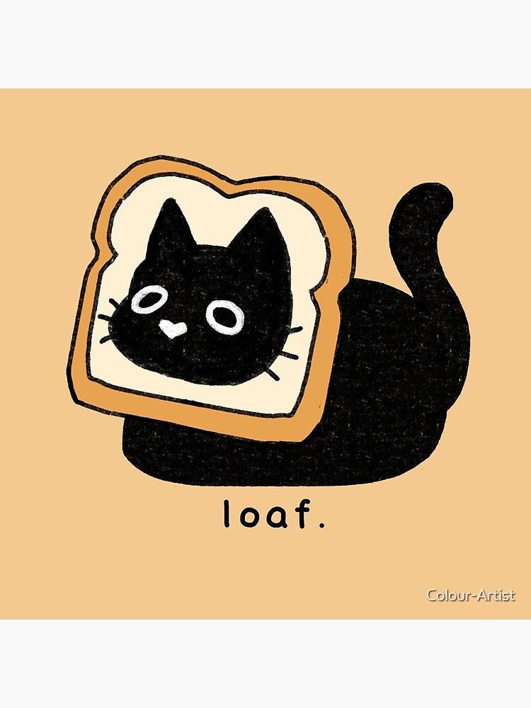 Black 2024 cat bread