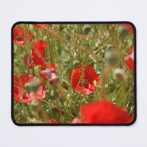 Item preview, Poppies designed and sold by danbullock.