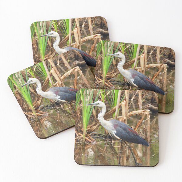 Item preview, White Necked Heron at Lagoons designed and sold by Mark Grimsley.