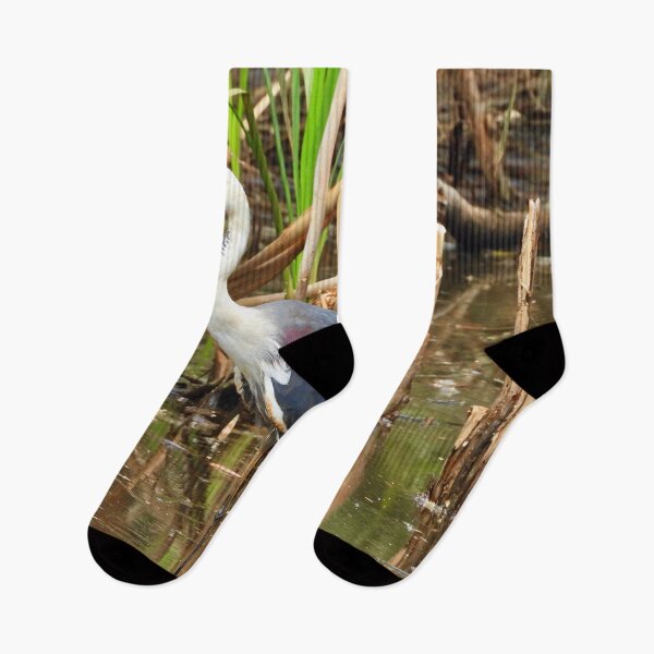 Item preview, White Necked Heron at Lagoons designed and sold by Mark Grimsley.