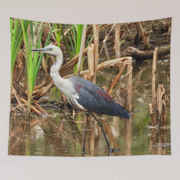 Item preview, White Necked Heron at Lagoons designed and sold by Mark Grimsley.