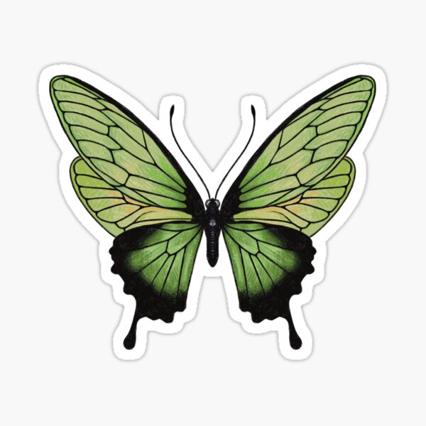 Green butterfly Sticker for Sale by ElinnilART
