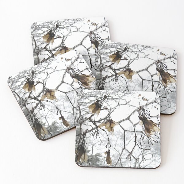 Item preview, Frozen Branches and Leaves- Freezing Rain in the Spring designed and sold by GenAumonier.