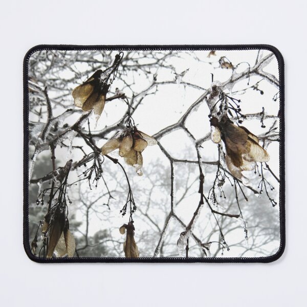 Item preview, Frozen Branches and Leaves- Freezing Rain in the Spring designed and sold by GenAumonier.