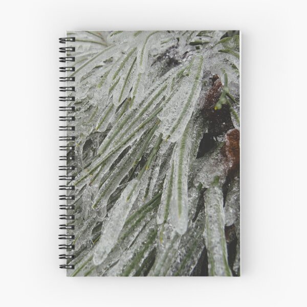 Item preview, Frozen Pine Branches - Freezing Rain in the Spring designed and sold by GenAumonier.