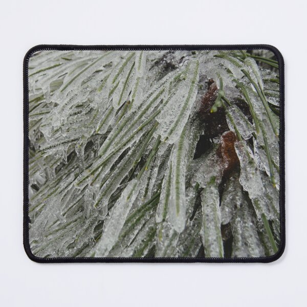 Item preview, Frozen Pine Branches - Freezing Rain in the Spring designed and sold by GenAumonier.