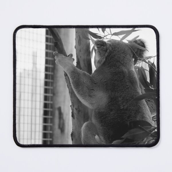Item preview, Koala in black and white designed and sold by FallenTrickster.