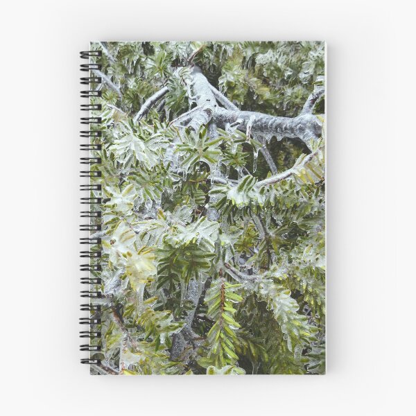 Item preview, Frozen Canadian Hemlock - Freezing Rain in the Spring designed and sold by GenAumonier.