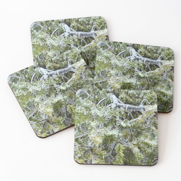 Item preview, Frozen Canadian Hemlock - Freezing Rain in the Spring designed and sold by GenAumonier.