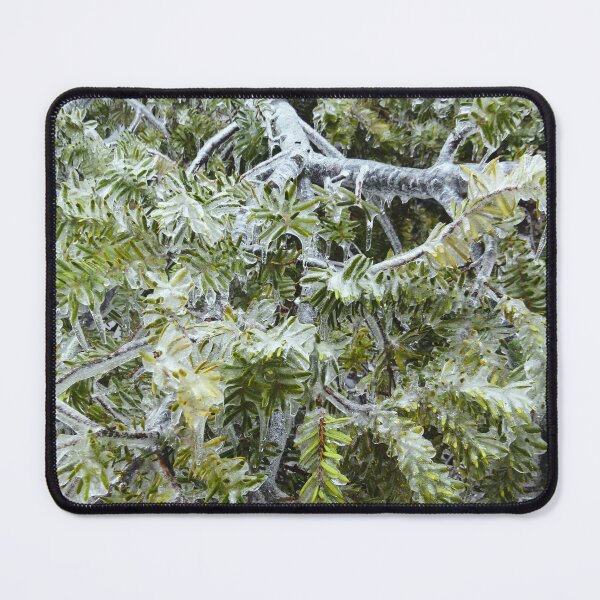 Item preview, Frozen Canadian Hemlock - Freezing Rain in the Spring designed and sold by GenAumonier.