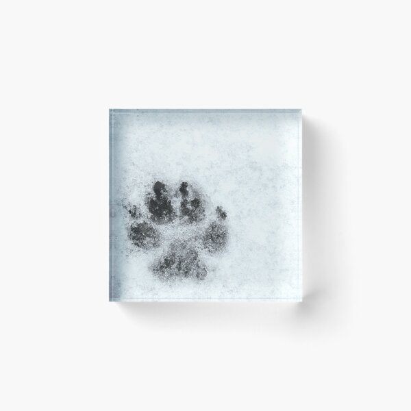 Item preview, Paw Print - Freezing Rain in the Spring designed and sold by GenAumonier.