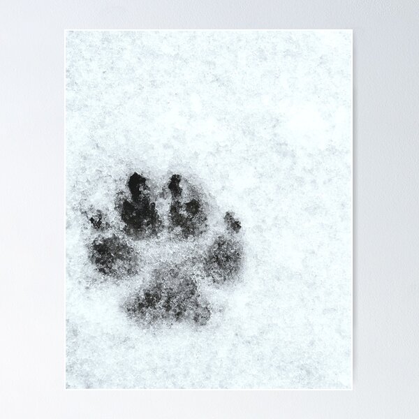 Item preview, Paw Print - Freezing Rain in the Spring designed and sold by GenAumonier.