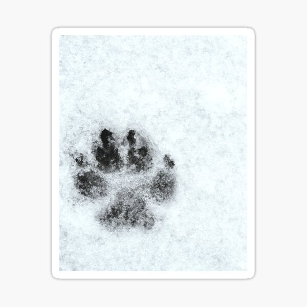 Item preview, Paw Print - Freezing Rain in the Spring designed and sold by GenAumonier.