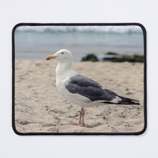 Item preview, Welcome to my Beach designed and sold by heatherfriedman.
