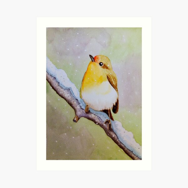 Robin Art Print
