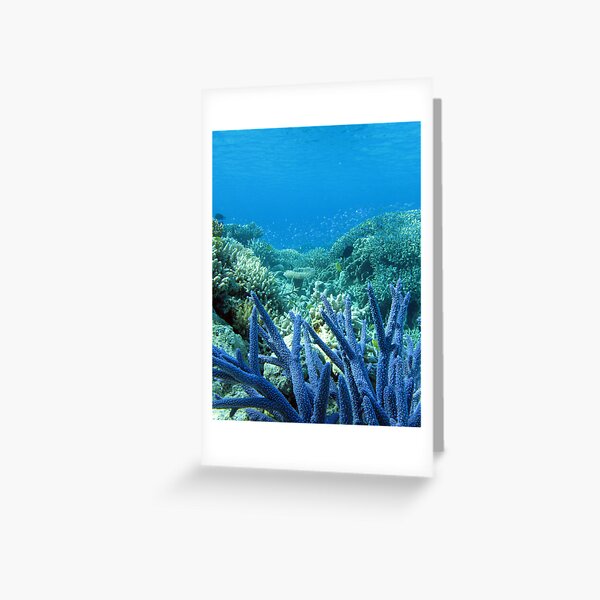 Wonderland Greeting Card