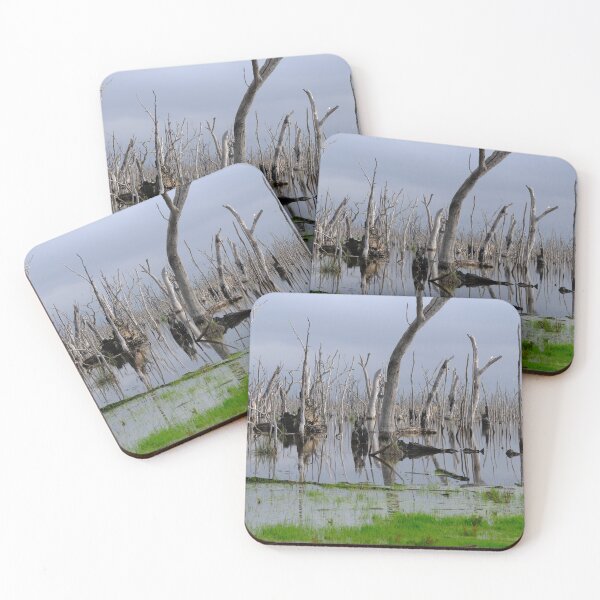 Item preview, Water In The Swamp, Winton Wetlands, Victoria Australia.  designed and sold by Robbie Alexander.
