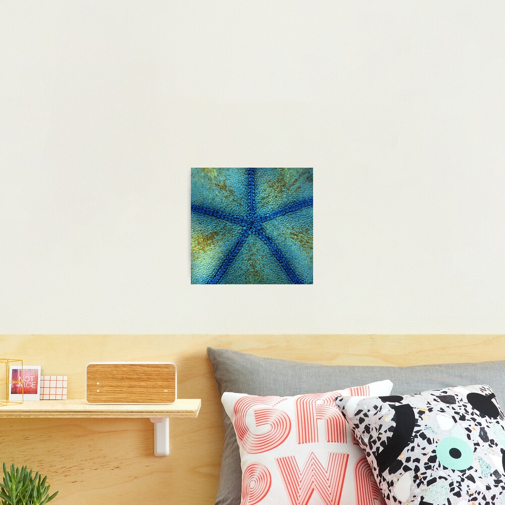 Pentagon Blue Photographic Print