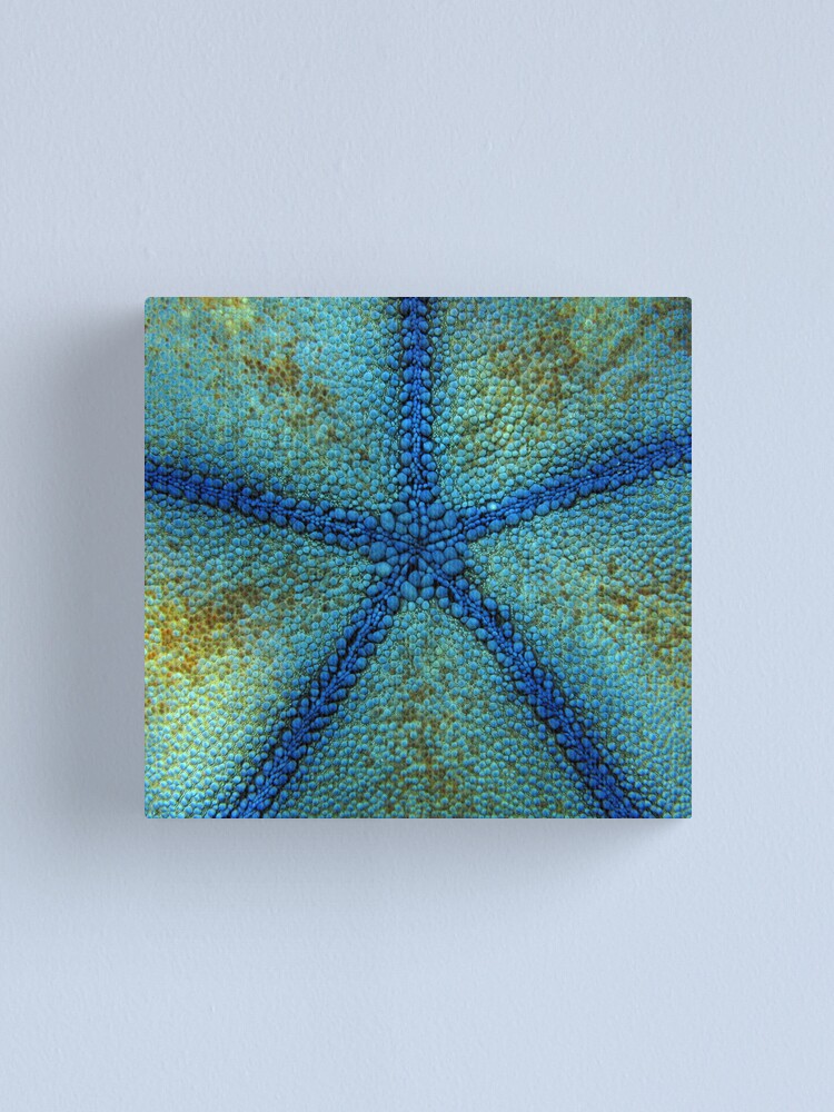 Alternate view of Pentagon Blue Canvas Print