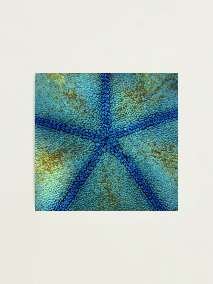 Alternate view of Pentagon Blue Photographic Print