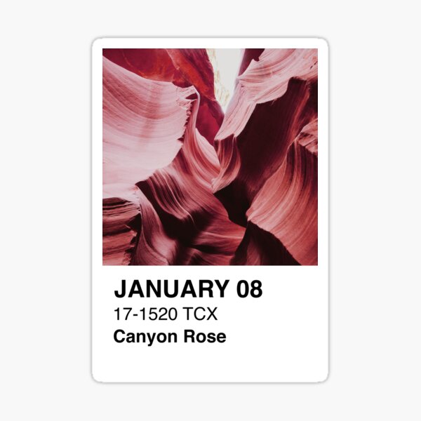 colors — Pantone 17-1520 TCX Canyon Rose