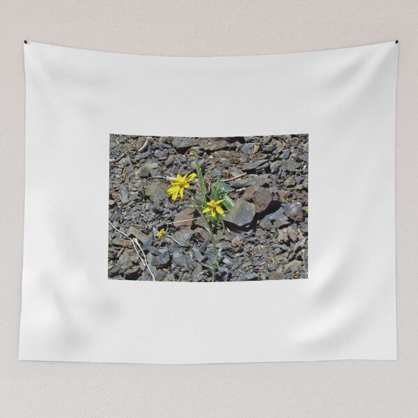 Item preview, Yellow Wildflowers 2 - Washington State designed and sold by jtrommer.