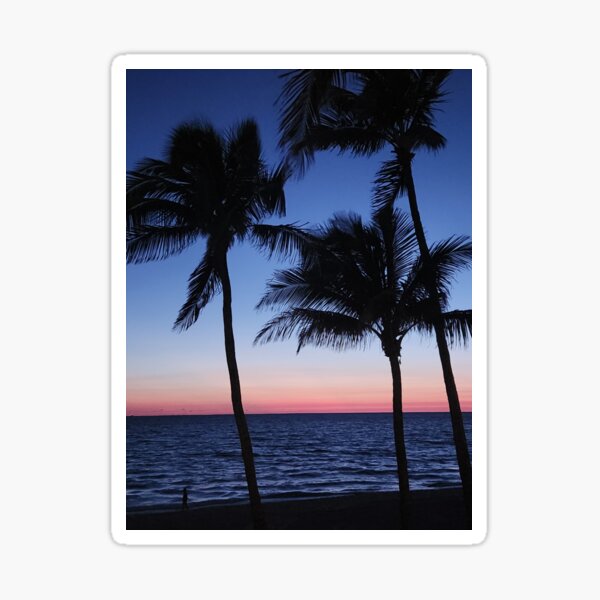 After the Sunset Pink Sky with Palm Trees Sticker