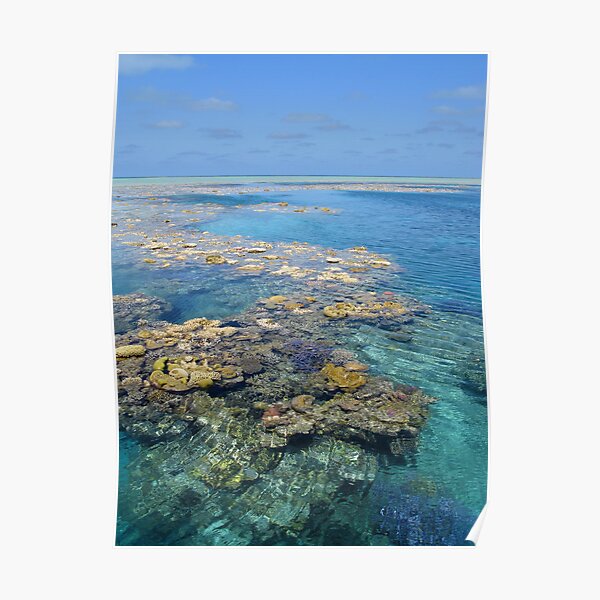 Lagoon Dreaming Poster