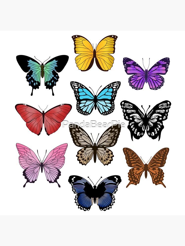 Butterfly Lover Sticker 3x 3 Weatherproof Stickers Taylor Swift