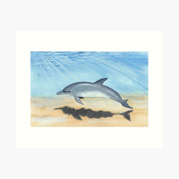 Dolphin Art Print