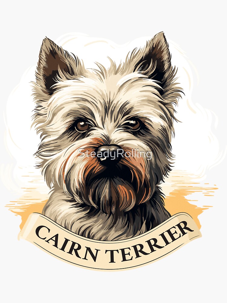 Cairn discount terrier items