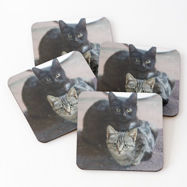 Item preview, Two Cute And Cuddly Kittens Waiting For Tuna designed and sold by DEC02.