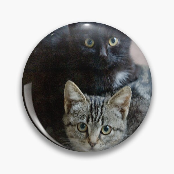Item preview, Two Cute And Cuddly Kittens Waiting For Tuna designed and sold by DEC02.