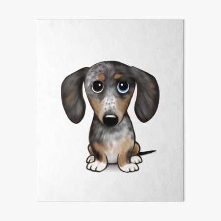 Merle 2024 weiner dog