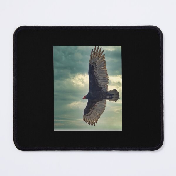 Item preview, Turkey Vulture 1 designed and sold by ruxpgenwq7.