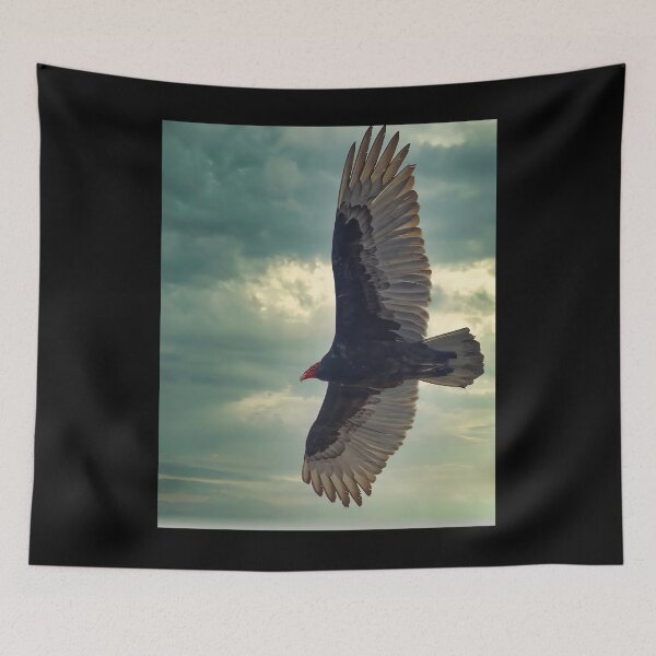 Item preview, Turkey Vulture  	 1	 designed and sold by ruxpgenwq7.