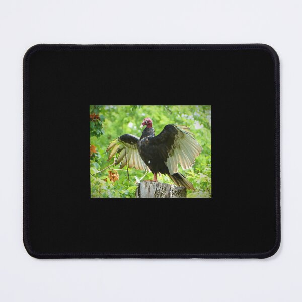 Item preview, Turkey Vulture stands tall 	 	 designed and sold by ruxpgenwq7.