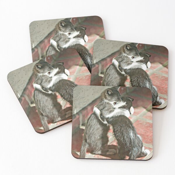 Item preview, Two Cute Kittens Playing On Red Tile Porch designed and sold by DEC02.