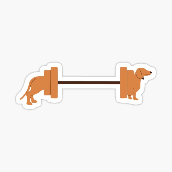  iPhone X/XS Dachshund Weightlifting Funny Deadlift Men Fitness  Gym Gifts Case : Cell Phones & Accessories