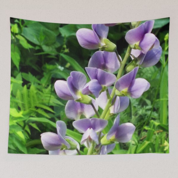 Item preview, Beautiful Baptisia designed and sold by Betty Mackey.