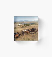 Goats Acrylic Block