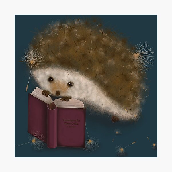 Hedgie Photographic Print