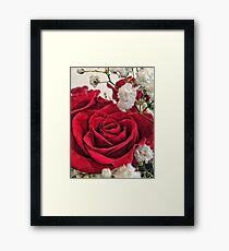 Romance Framed Print