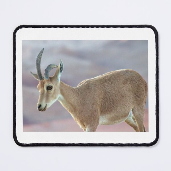 Item preview, "Warped Antler" designed and sold by Raz Telchai.