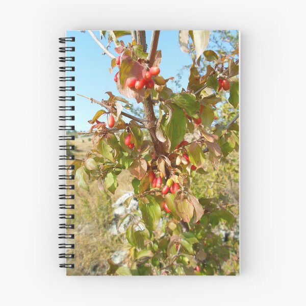 Item preview, Cornus mas designed and sold by PlaviOrao.