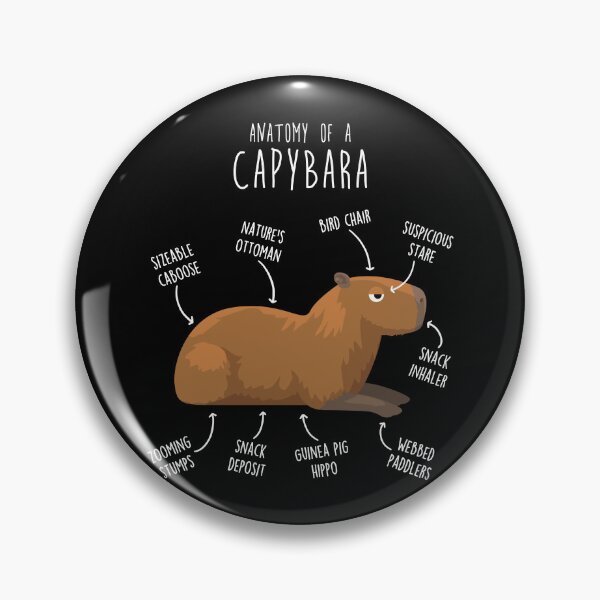 Item preview, Capybara Anatomy designed and sold by Clara Hollins.