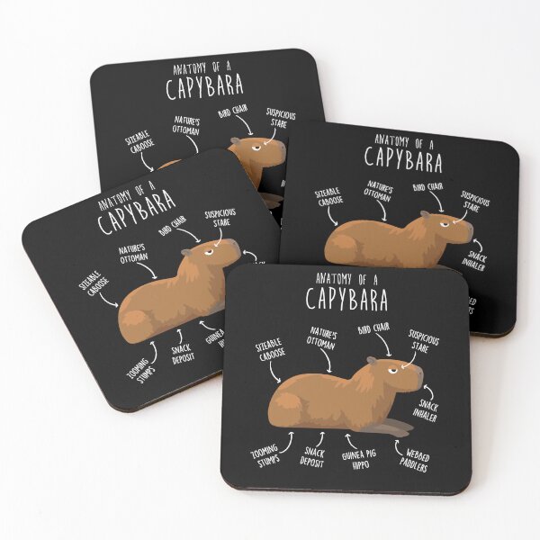 Item preview, Capybara Anatomy designed and sold by Clara Hollins.