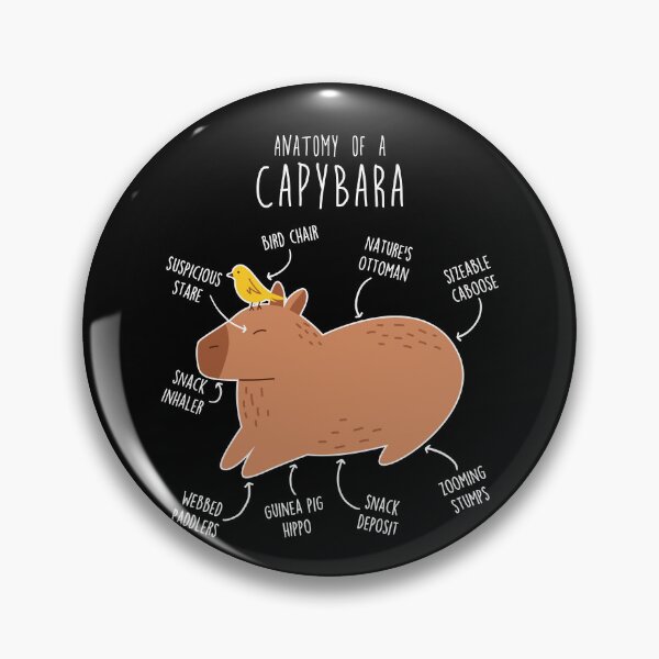 Item preview, Capybara Anatomy designed and sold by Clara Hollins.