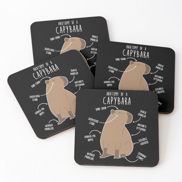 Item preview, Capybara Anatomy designed and sold by Clara Hollins.