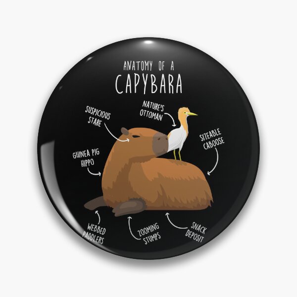 Item preview, Capybara Anatomy designed and sold by Clara Hollins.